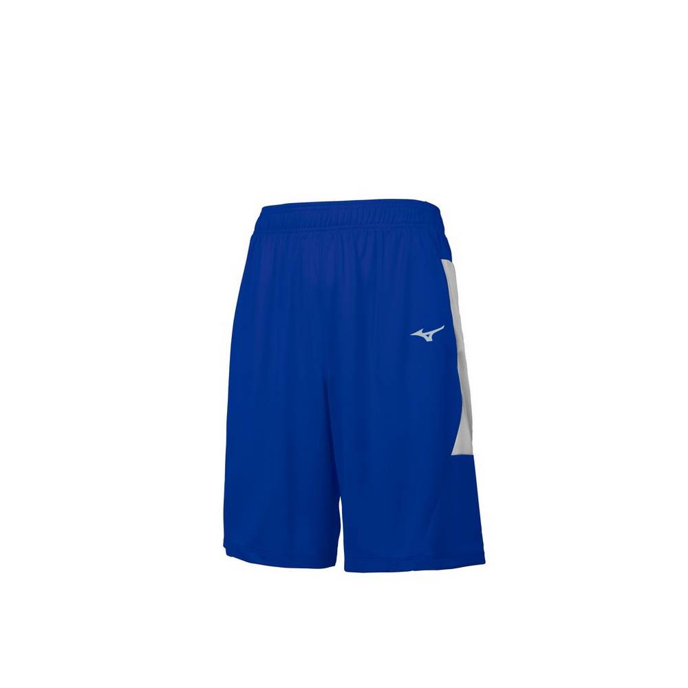 Panske Šortky Mizuno Aerolite Kráľovská Modrá/Siva Vypredaj WMTH98065